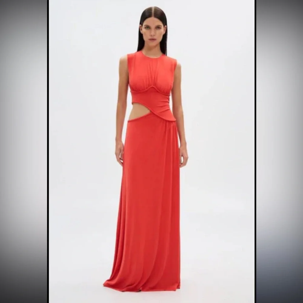 MISHA COLLECTION Orange Maxi Dress - Picture 3 of 6